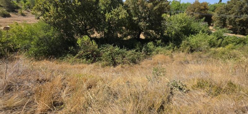 Vente Terrain Lalbenque - -2325 m² - (46230)
