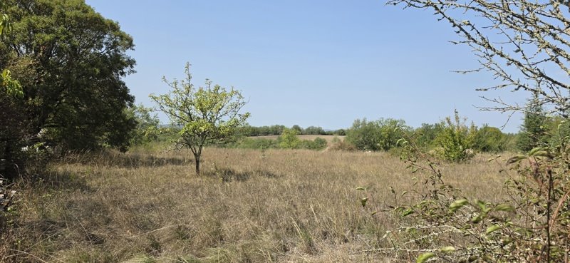 Vente Terrain Laburgade - -4568 m² - (46230)