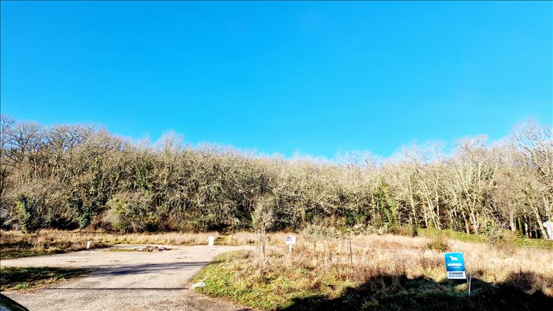 Terrain 988 m² · à Pradines · 988 m² · 64 000 €