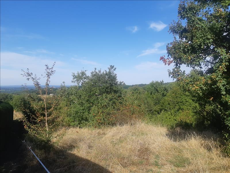 Vente Terrain ST PROJET - -4387 m² - (46300)