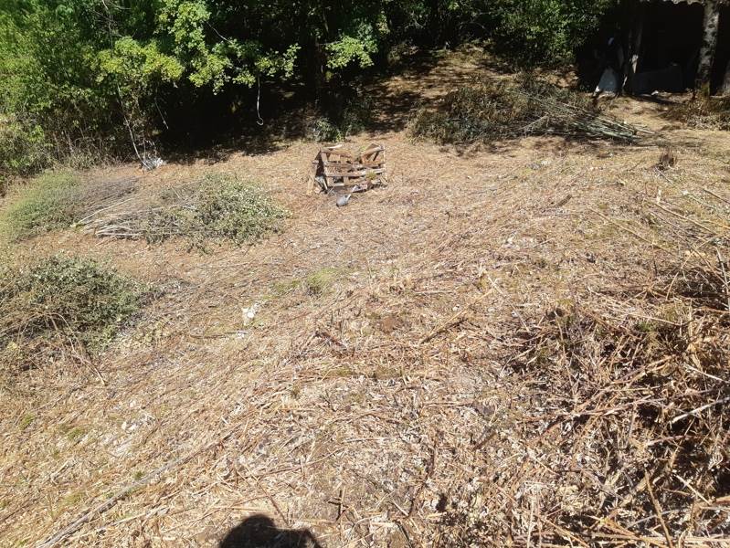 Vente Terrain ST PROJET - -4387 m² - (46300)