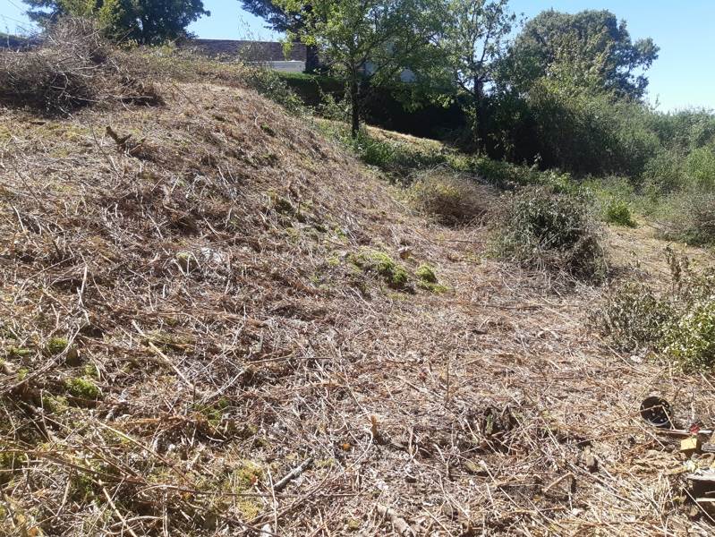 Vente Terrain ST PROJET - -4387 m² - (46300)