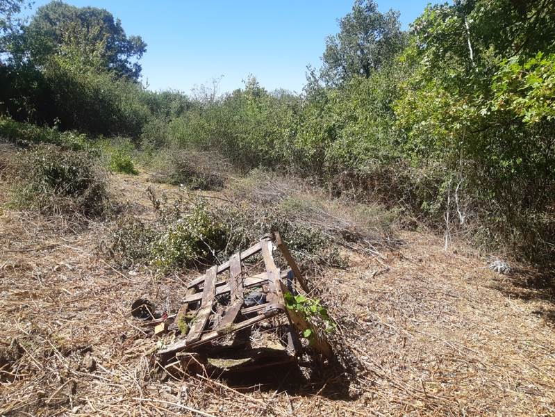 Vente Terrain ST PROJET - -4387 m² - (46300)