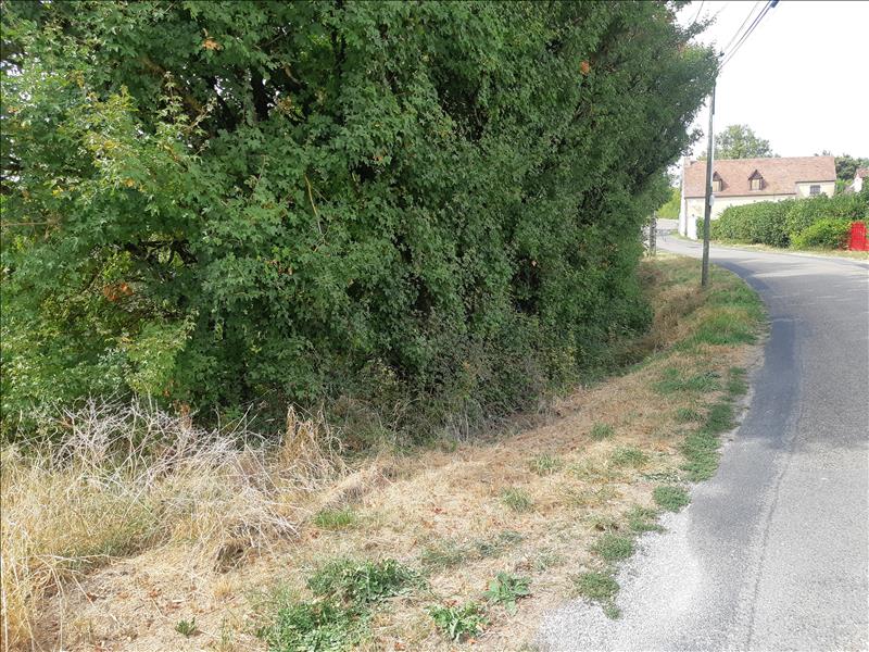 Vente Terrain ST PROJET - -4387 m² - (46300)