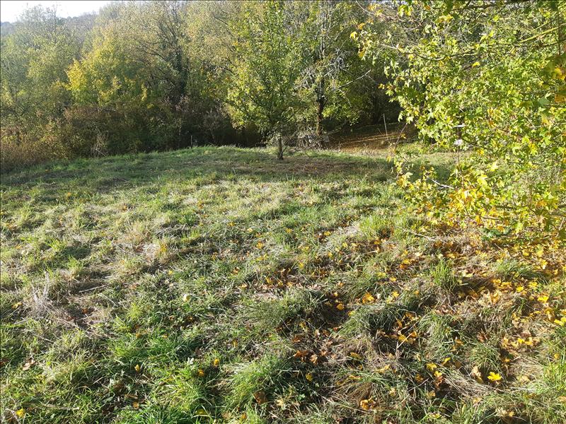 Vente Terrain ST PROJET - -4387 m² - (46300)