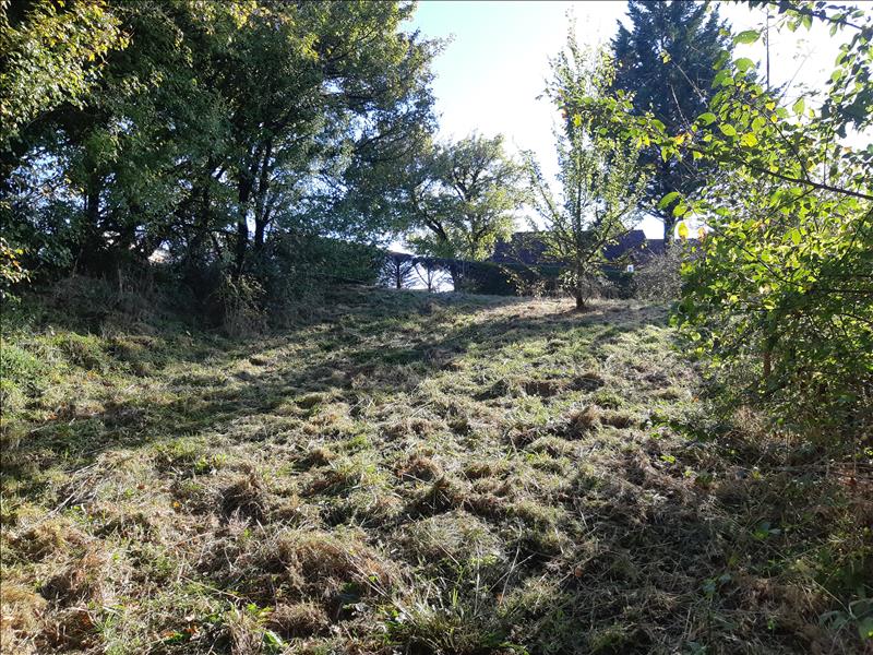 Vente Terrain ST PROJET - -4387 m² - (46300)