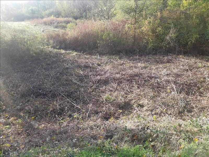 Vente Terrain ST PROJET - -4387 m² - (46300)