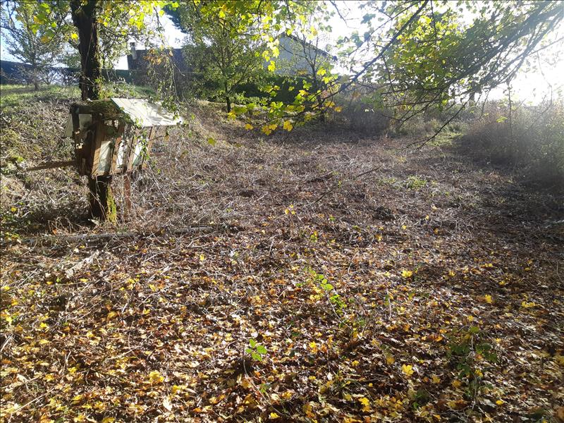 Vente Terrain ST PROJET - -4387 m² - (46300)
