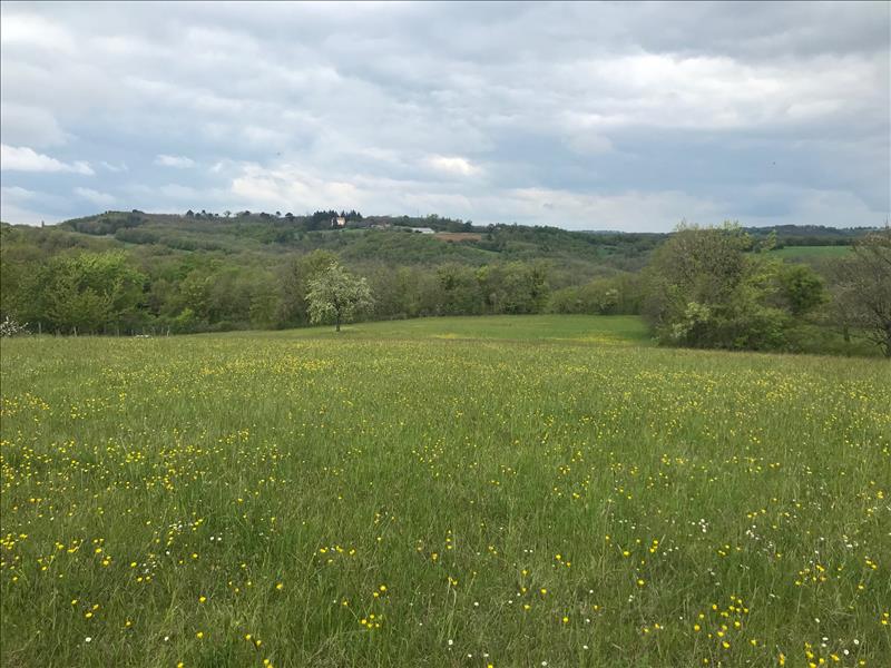 Terrain à vendre · à Saint-Cirq-Souillaguet · 56 000 €