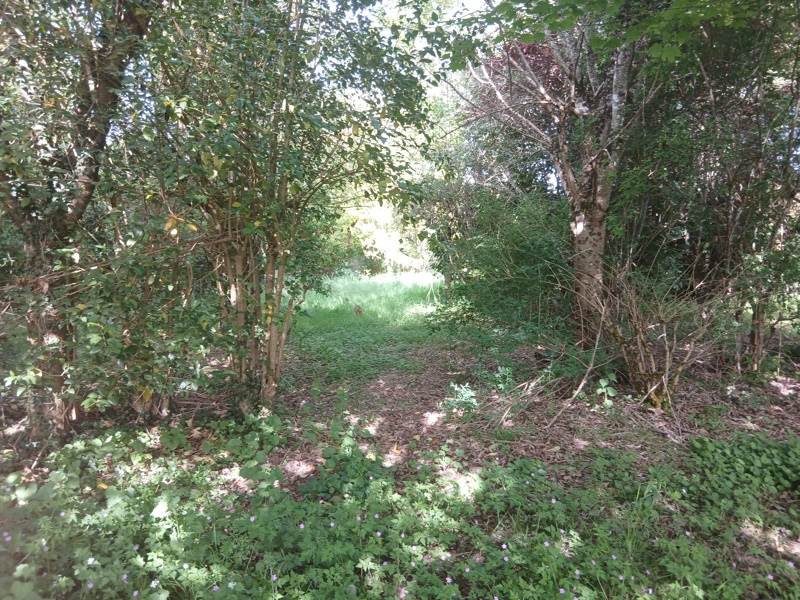 Vente Terrain LE VIGAN-EN-QUERCY - -3135 m² - (46300)
