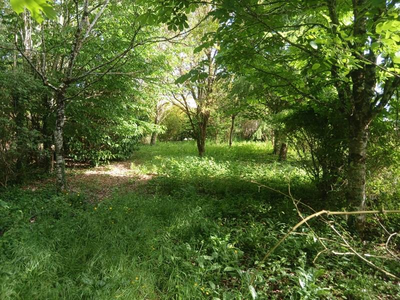Terrain à vendre · à Le Vigan-en-Quercy · 40 000 €