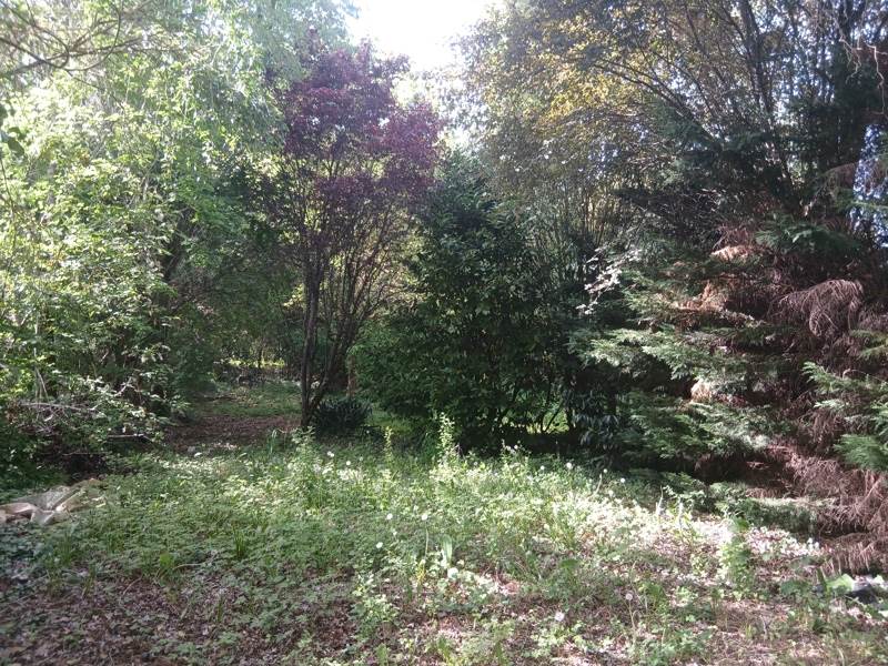 Vente Terrain LE VIGAN-EN-QUERCY - -3135 m² - (46300)