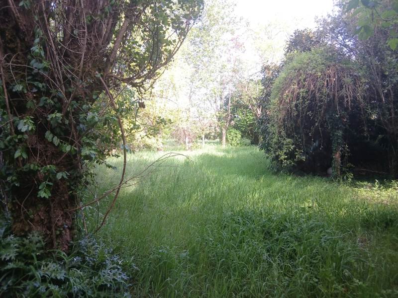 Vente Terrain LE VIGAN-EN-QUERCY - -3135 m² - (46300)
