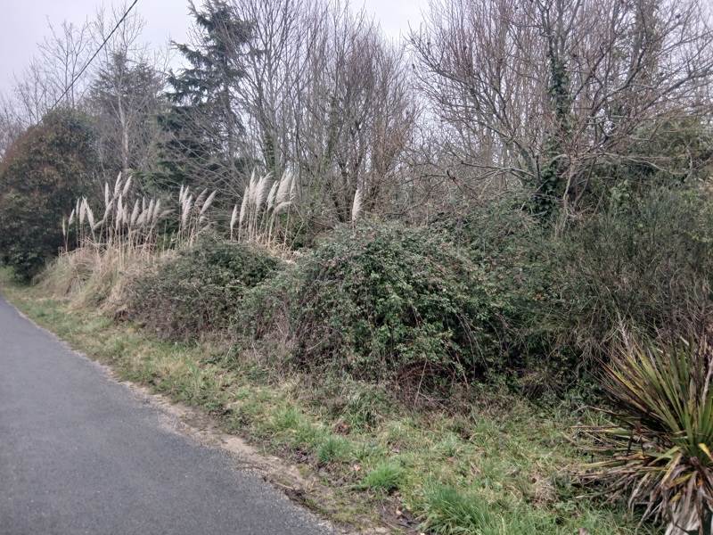 Vente Terrain LE VIGAN-EN-QUERCY - -3059 m² - (46300)