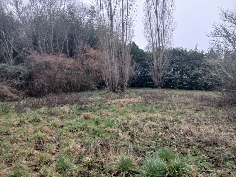 Vente Terrain LE VIGAN-EN-QUERCY - -3059 m² - (46300)