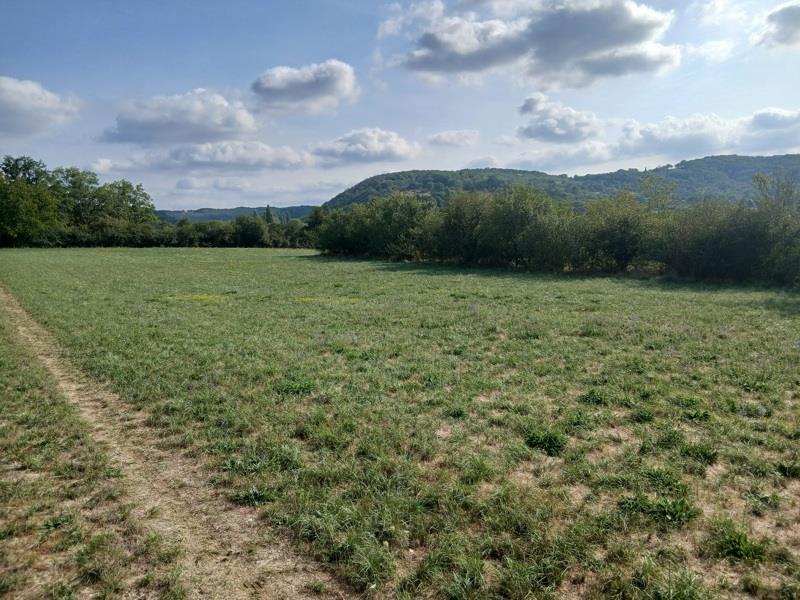 Vente Terrain Saint-Germain-du-Bel-Air - -7313 m² - (46310)