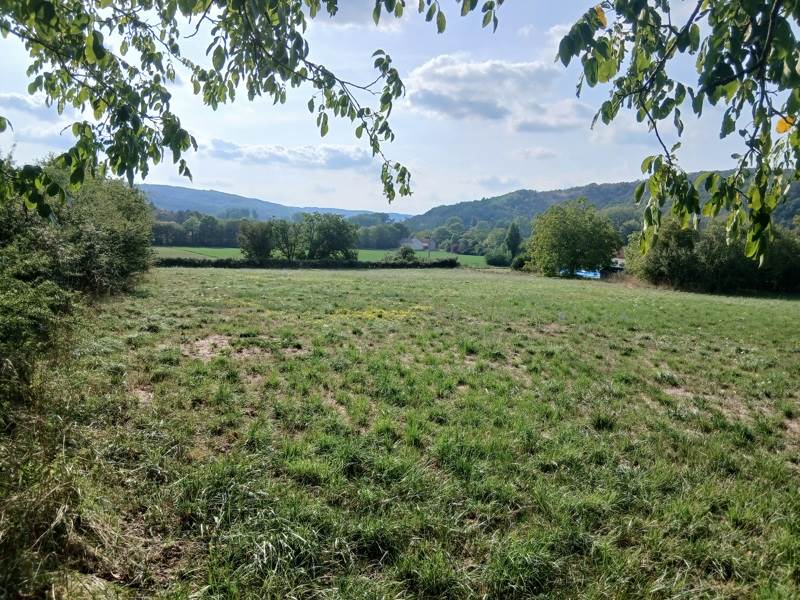 Vente Terrain Saint-Germain-du-Bel-Air - -7313 m² - (46310)