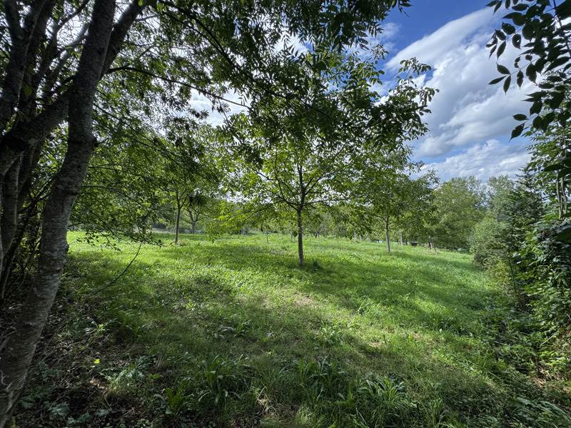 Vente Terrain Saint-Cirq-Souillaguet - -4710 m² - (46300)
