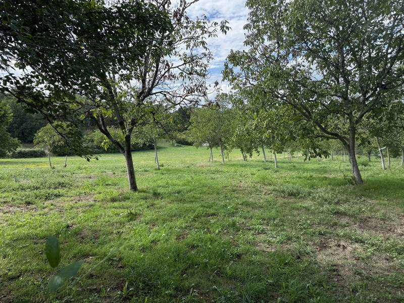 Vente Terrain Saint-Cirq-Souillaguet - -4710 m² - (46300)