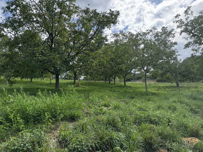 Vente Terrain Saint-Cirq-Souillaguet - -4710 m² - (46300)