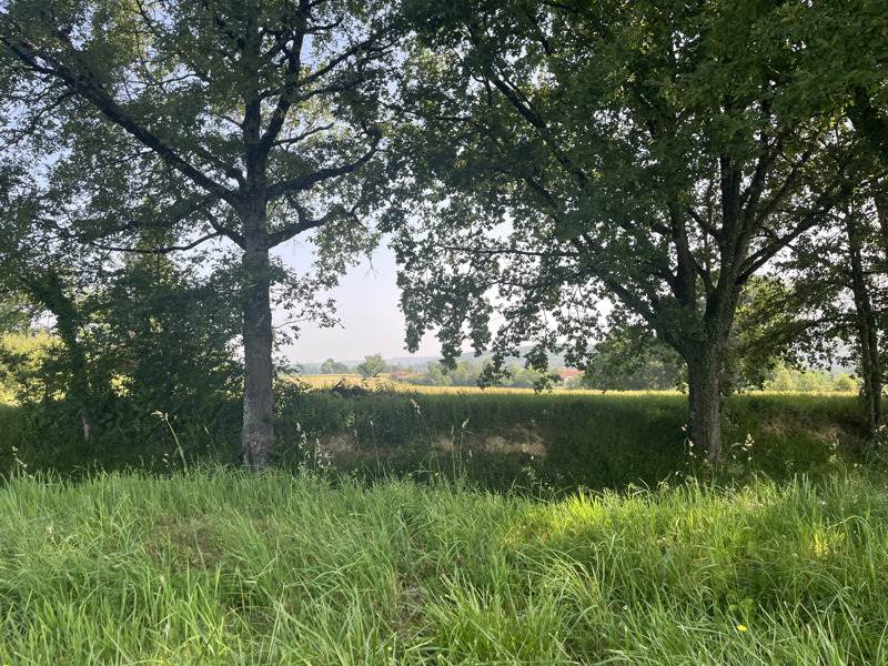 Vente Terrain MARSEILLAN - -2074 m² - (32170)