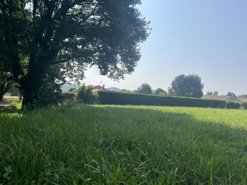 Vente Terrain MARSEILLAN - -2074 m² - (32170)