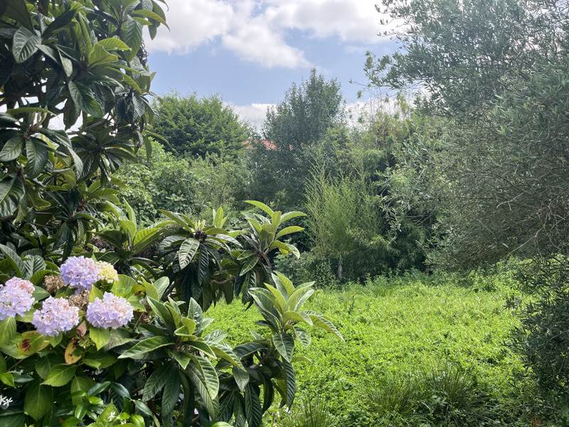 Vente Maison MASSEUBE - 4 pièces -90 m² - (32140)