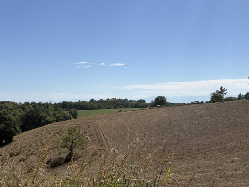 Vente Terrain Saint-Maur - -6154 m² - (32300)