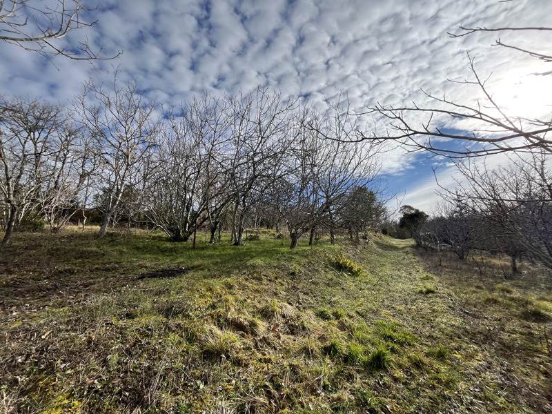 Vente Terrain AUCH - -4282 m² - (32000)