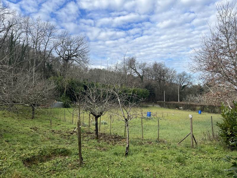 Vente Terrain AUCH - -4282 m² - (32000)