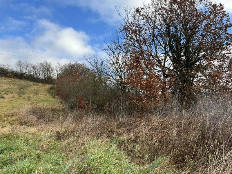 Vente Terrain LAMAZERE - -1731 m² - (32300)