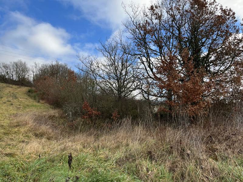Vente Terrain LAMAZERE - -1731 m² - (32300)