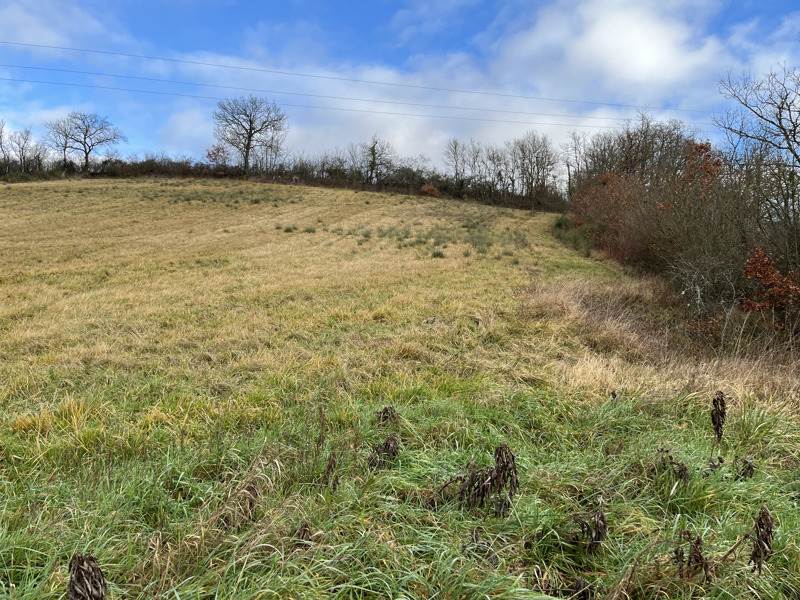 Vente Terrain LAMAZERE - -1731 m² - (32300)