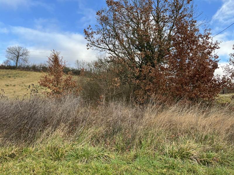 Vente Terrain LAMAZERE - -1731 m² - (32300)