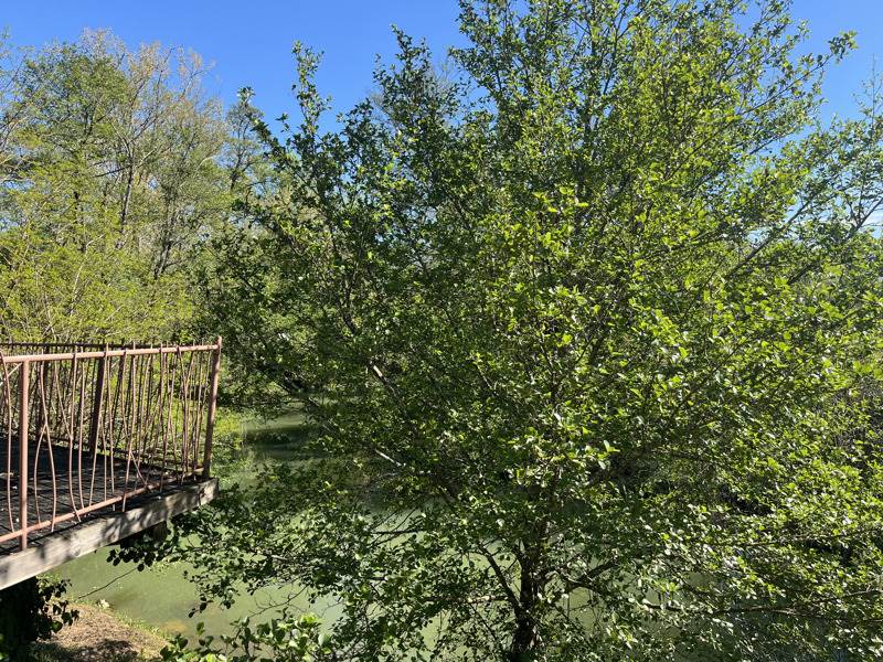 Vente Maison L ISLE DE NOE - 4 pièces -106 m² - (32300)