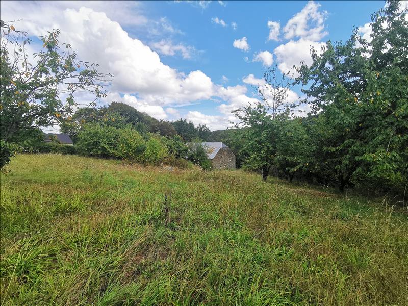 Vente Terrain DONZENAC - -1657 m² - (19270)