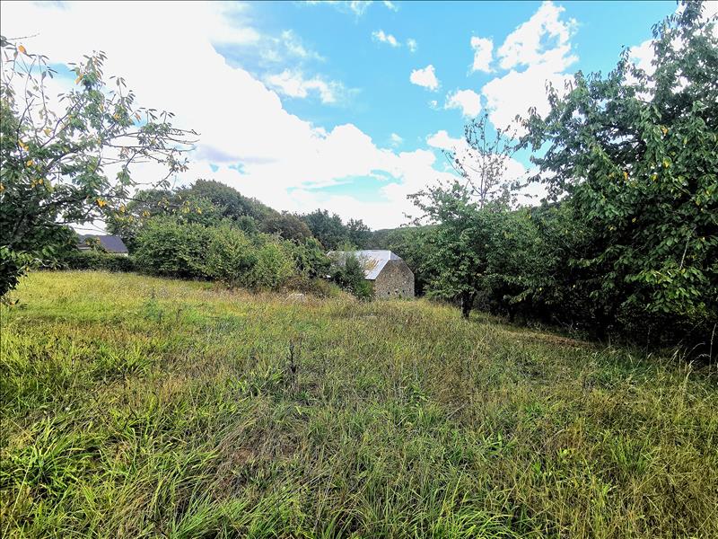 Vente Terrain DONZENAC - -1657 m² - (19270)