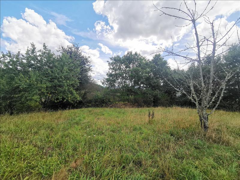 Vente Terrain DONZENAC - -951 m² - (19270)