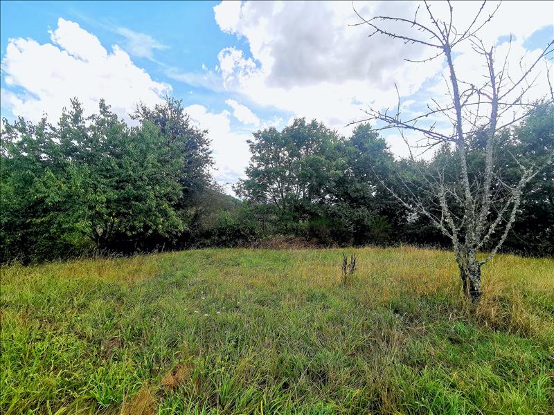 Vente Terrain DONZENAC - -951 m² - (19270)