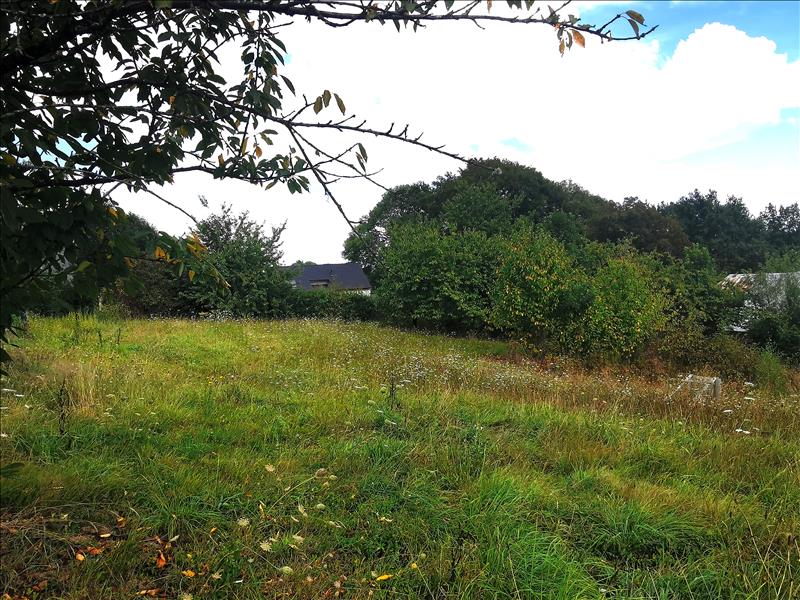 Vente Grange DONZENAC - 1 pièce -150 m² - (19270)