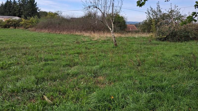 Vente Terrain USSAC - -1875 m² - (19270)