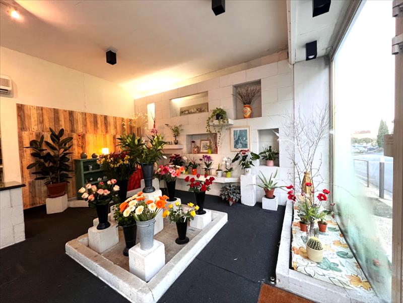 Vente Immeuble PAUILLAC - -  265 m² - (33250)