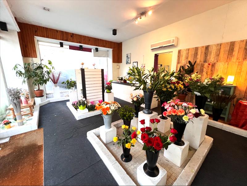 Vente Immeuble PAUILLAC - -  265 m² - (33250)