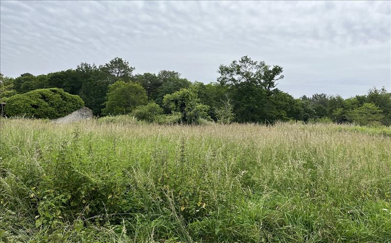 Vente Terrain CISSAC MEDOC - -620 m² - (33250)