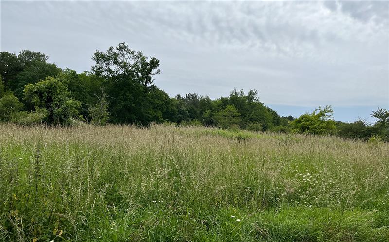Vente Terrain CISSAC MEDOC - -707 m² - (33250)