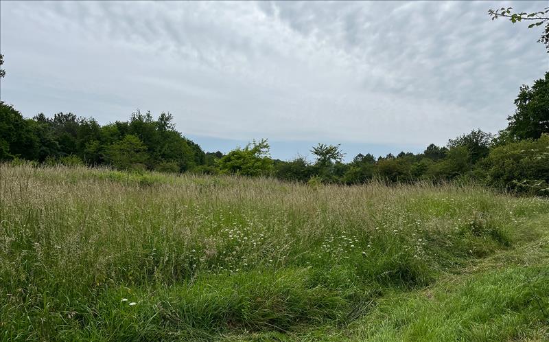 Vente Terrain CISSAC MEDOC - -503 m² - (33250)