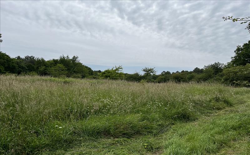 Vente Terrain CISSAC MEDOC - -647 m² - (33250)