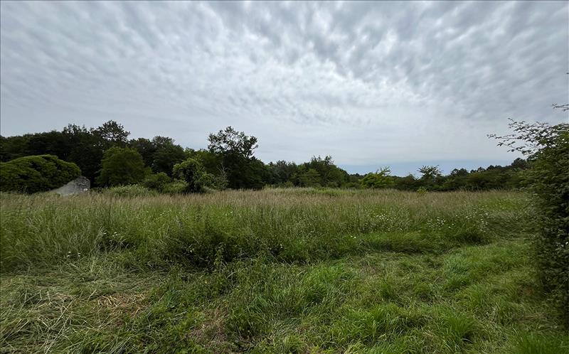 Vente Terrain CISSAC MEDOC - -3050 m² - (33250)
