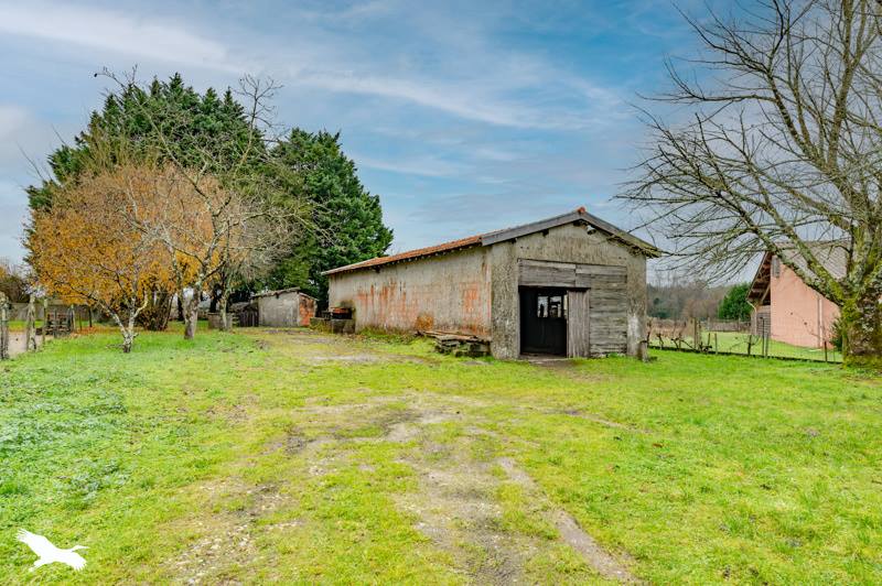 Vente Maison CUSSAC FORT MEDOC - 6 pièces -120 m² - (33460)