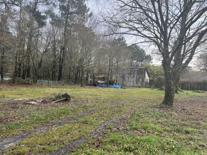 Vente Terrain CISSAC MEDOC - -1030 m² - (33250)
